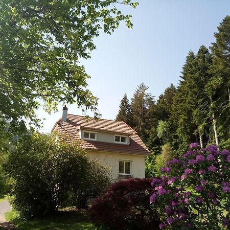 Vosges House 110 M2 In The Heart Of Nature L'Oree Du Bois Saint-Michel-sur-Meurthe Zewnętrze zdjęcie
