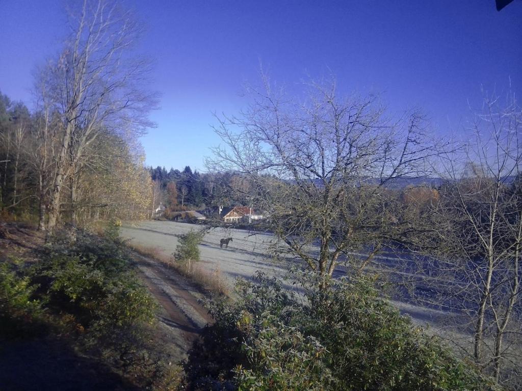 Vosges House 110 M2 In The Heart Of Nature L'Oree Du Bois Saint-Michel-sur-Meurthe Zewnętrze zdjęcie