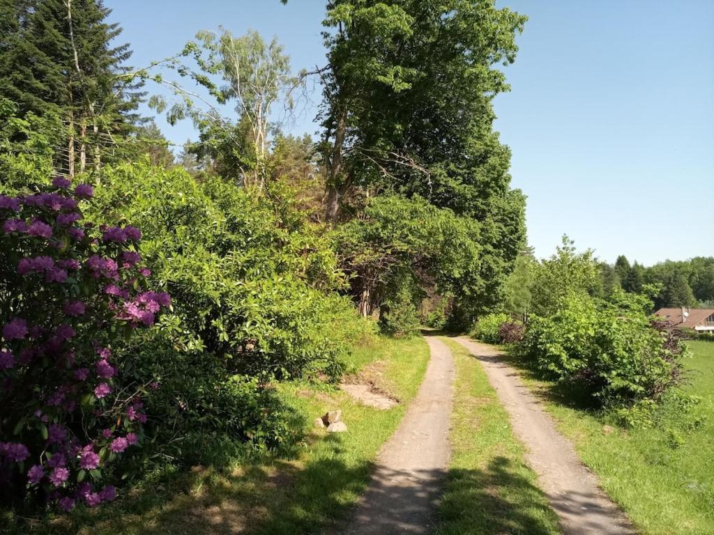 Vosges House 110 M2 In The Heart Of Nature L'Oree Du Bois Saint-Michel-sur-Meurthe Zewnętrze zdjęcie